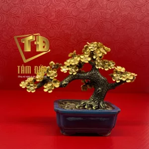 Cây mai bonsai mạ vàng 24 - quà tặng Trọng Tín